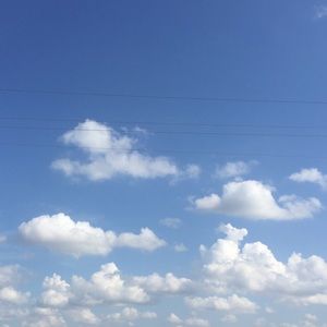 Meet your Posher, Shira